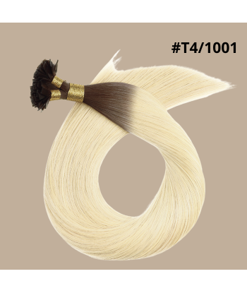 100 Keratin Extensions Glatt Premium Mit Flacher Spitze T4/1001 à prix réduit toute l'année