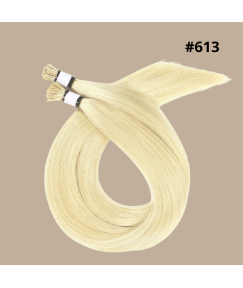 50 Premium Keratin Extensions mit I-Spitze 613 la livraison gratuite