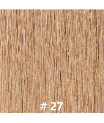 50 Premium Keratin Extensions Glatt mit I-Spitze 27 le concept de la Pate a emporter 