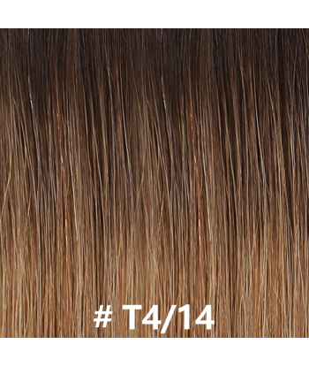 50 Premium Glatte Keratin Extensions mit I-Spitze T4/14 s'inspire de l'anatomie humaine