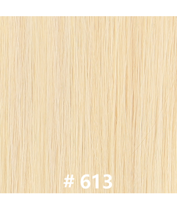 Premium Russian Hair 613 Glattes Haargewebe la colonne vertébrale