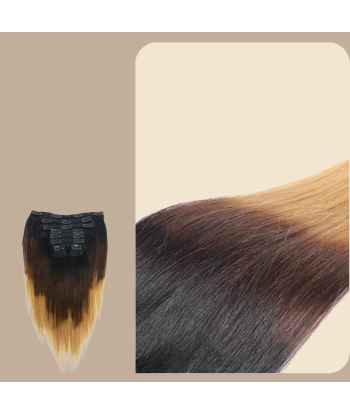 Straight Ombre Bruin Chocolade Blond Clip-In Extensions Kit 120 gr paiement sécurisé