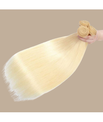 Steil menselijk haar 7A Blond Platine 613 100 Gr Par le système avancé 