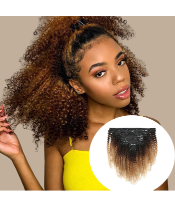 Afro Curly Ombre Brown Chocolate Blonde Clip-In Extensions Kit 120 gr. basket pas cher