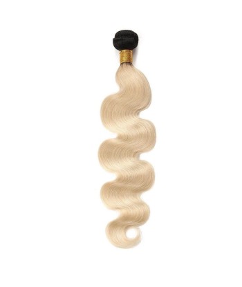 Tissage Body Wave Blond 1B/613 Dans la société mordern